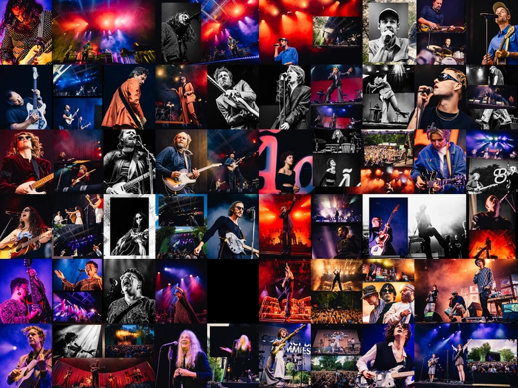 Cactusfestival social media grid